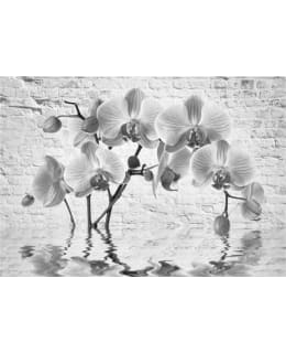 Artgeist A1-LNEW011505 FOTOTAPETTI Main Image