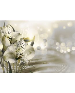 Artgeist A1-LFT694 FOTOTAPETTI Main Image