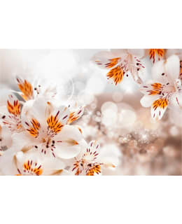 Artgeist A1-MFT768 FOTOTAPETTI Main Image