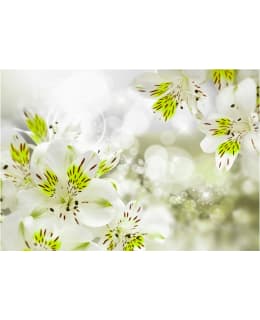 Artgeist A1-XLFT769 FOTOTAPETTI Main Image