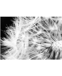 Artgeist A1-NEW010916 FOTOTAPETTI Main Image