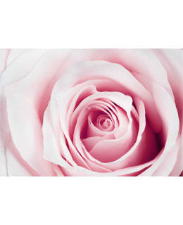 Artgeist A1-NEW011205 FOTOTAPETTI Main Image