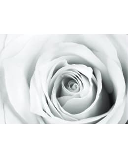 Artgeist A1-MNEW011206 FOTOTAPETTI Main Image