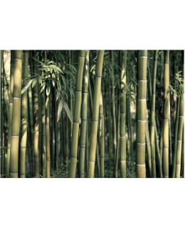 Artgeist A1-3XLFT749 FOTOTAPETTI Main Image