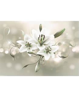 Artgeist A1-2XLFT414 FOTOTAPETTI Main Image