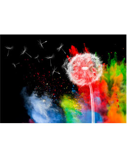 Artgeist A1-MFT888 FOTOTAPETTI Main Image