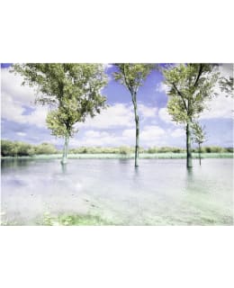 Artgeist A1-NEW010687 FOTOTAPETTI Main Image