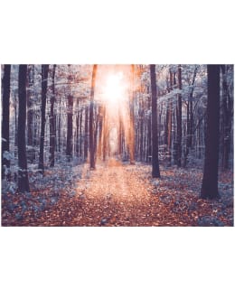 Artgeist A1-LFT404 FOTOTAPETTI Main Image