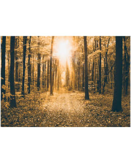 Artgeist A1-4XLFT405 FOTOTAPETTI Main Image