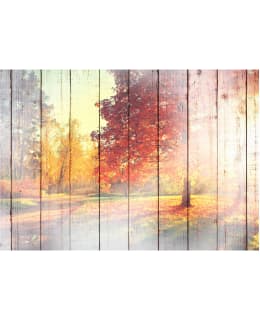 Artgeist A1-SFT1553 FOTOTAPETTI Main Image