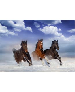 Artgeist A1-4XLFT1674 FOTOTAPETTI Main Image