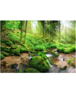 Artgeist A1-SFT1675 FOTOTAPETTI Main Image