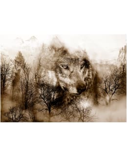 Artgeist A1-LFT1677 FOTOTAPETTI Main Image