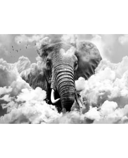 Artgeist A1-XLFT1686 FOTOTAPETTI Main Image