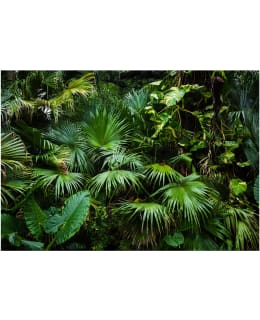 Artgeist A1-3XLFT1714 FOTOTAPETTI Main Image