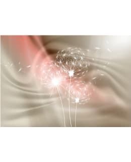 Artgeist A1-4XLFT630 FOTOTAPETTI Main Image