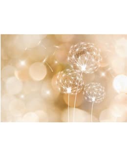 Artgeist A1-2XLFT867 FOTOTAPETTI Main Image