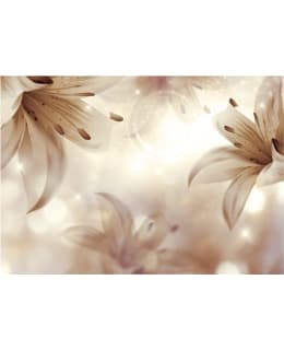 Artgeist A1-MFT994 FOTOTAPETTI Main Image