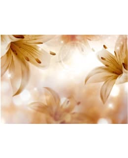 Artgeist A1-MFT995 FOTOTAPETTI Main Image