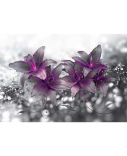 Artgeist A1-MFT851 FOTOTAPETTI Main Image