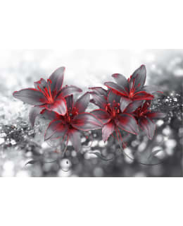 Artgeist A1-SFT850 FOTOTAPETTI Main Image