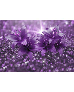 Artgeist A1-2XLFT907 FOTOTAPETTI Main Image