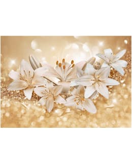 Artgeist A1-4XLFT922 FOTOTAPETTI Main Image