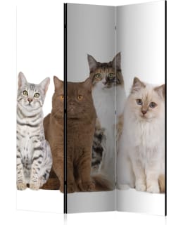 ARTGEIST A1-PARAVENT1080 3-OS SERMI Main Image