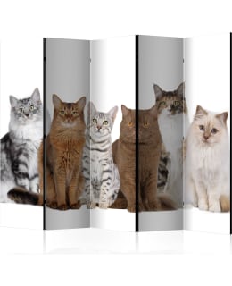 ARTGEIST A1-PARAVENT1081 5-OS SERMI Main Image