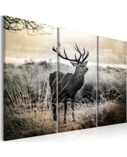 ARTGEIST A1-N7128-DKX TAULUSETTI Main Image