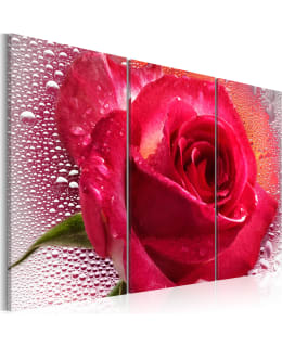 Artgeist A1-N2251-DK TAULUSETTI Main Image