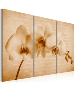 Artgeist A1-N2408-DK TAULUSETTI Main Image