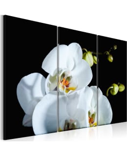 Artgeist A1-N2297-DK TAULUSETTI Main Image