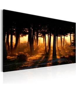 ARTGEIST A1-N6231-DK TAULU Main Image