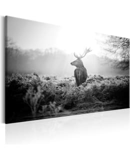 ARTGEIST A1-N7066-DKX TAULU Main Image