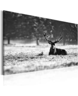 ARTGEIST A1-N7071-DK TAULU Main Image