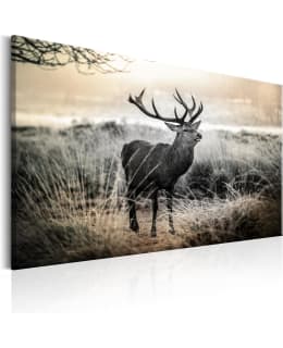 ARTGEIST A1-N7127-DKX TAULU Main Image