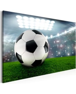 ARTGEIST A1-N7858 TAULU Main Image