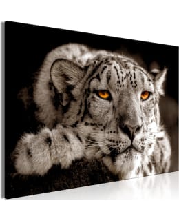 ARTGEIST A1-N7929 TAULU Main Image