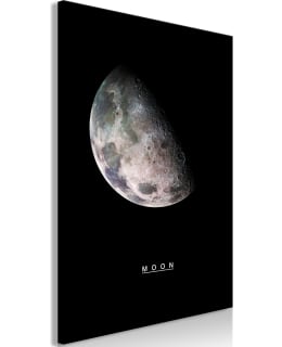 ARTGEIST A1-N8226-XL TAULU Main Image