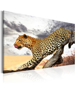 ARTGEIST A1-N5885-DKXL TAULU Main Image