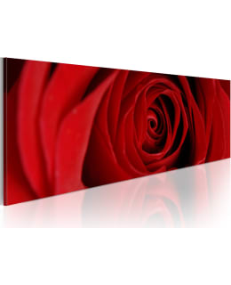 ARTGEIST A1-NM1244 TAULU Main Image