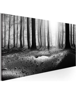 ARTGEIST A1-N7788-DKXL TAULU Main Image