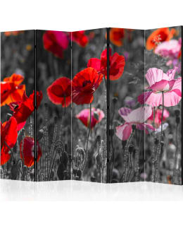 ARTGEIST A1-PARAVENT1309 5-OS SERMI Main Image