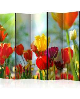 ARTGEIST A1-PARAVENT1303 5-OS SERMI Main Image