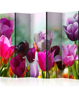 ARTGEIST A1-PARAVENT1304 5-OS SERMI Main Image