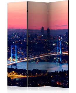 ARTGEIST A1-PARAVENTTC0141 3-OS SERMI Main Image