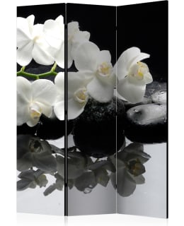 ARTGEIST A1-PARAVENTTC0175 3-OS SERMI Main Image