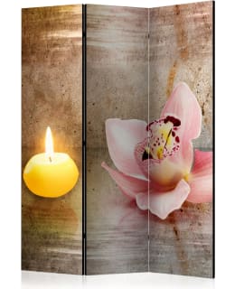 ARTGEIST A1-PARAVENTTC0231 3-OS SERMI Main Image