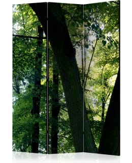 ARTGEIST A1-PARAVENTTC0241 3-OS SERMI Main Image